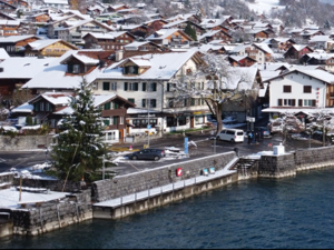 Hotel Brienzerburli winter