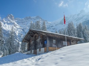 Group accommodation Chalet Nr. 1 House view winter