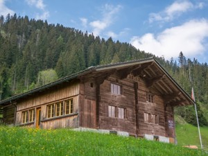 Group accommodation Chalet Nr. 1 House view summer