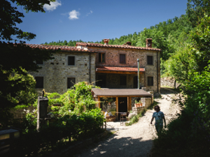 Holiday homes Novanta View