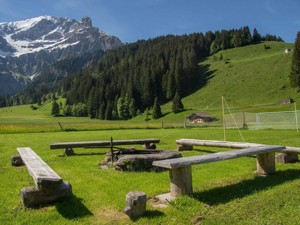 Group accommodation Chalet Nr. 4 Standard Barbecue area