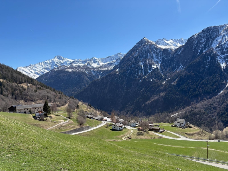 Casa Don Willy View