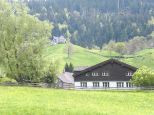 Skihütte Wülflingerhaus Hausansicht Sommer