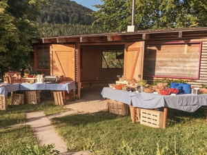 Auberge de Jeunesse Bad Urach Espace barbecue