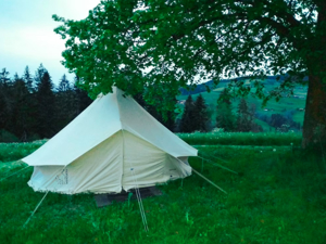 Tipi
