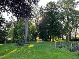 Herrenhaus Augustenhof Garten