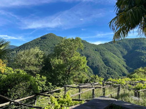Ferienwohnung Wild Valley Secret Studio Aussicht