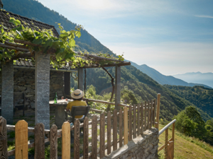 Rustico Wild Valley Rustico Starlight View