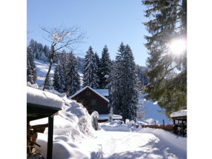 Group accommodation Kännelalp Location winter