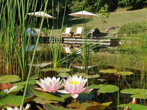 Bathing lake
