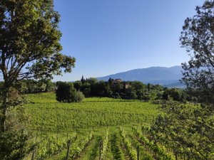 Country house Locanda Casanuova House view summer