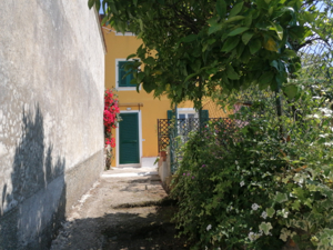 Holiday home Floral House House view summer