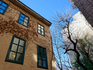 Jugendherberge Wien Myrthengasse Hausansicht