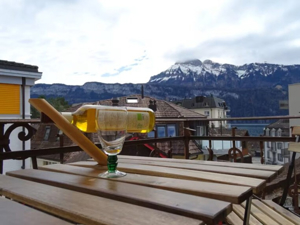 Bed & Breakfast Froschkönig Balcon