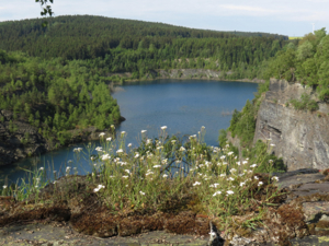 Seminar- und Gästehaus Schieferpark Lage