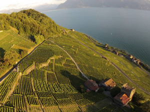 Event Location Gaillard & Fils Lage