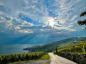 Lieu de l'événement Gaillard & Fils Vue