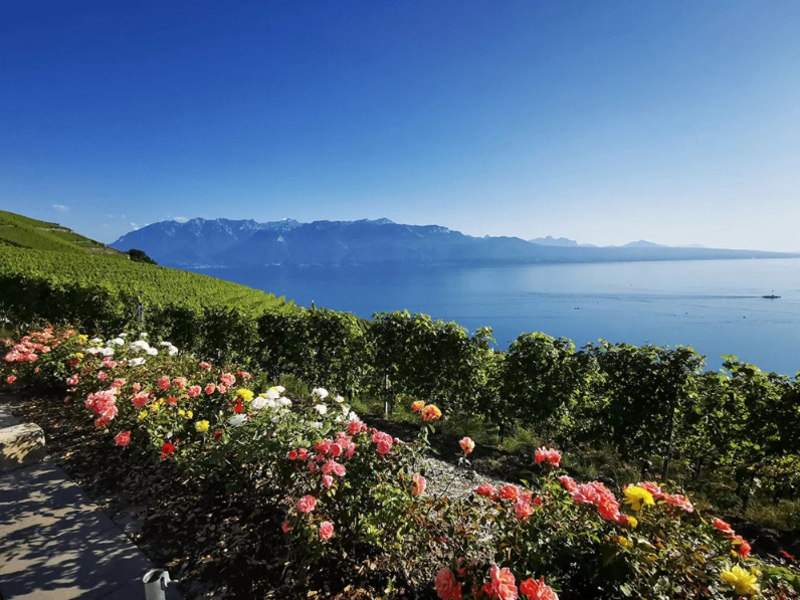 Event Location Gaillard & Fils Aussicht