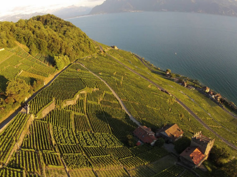 Event Location Gaillard & Fils Lage