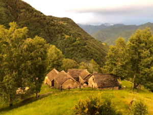 Feriendörfli TraumAlp Hausansicht