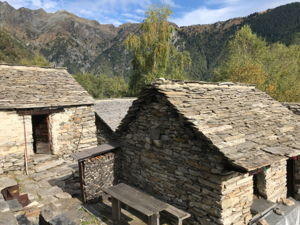 Feriendörfli TraumAlp Umschwung