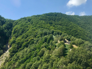 Feriendörfli TraumAlp Lage