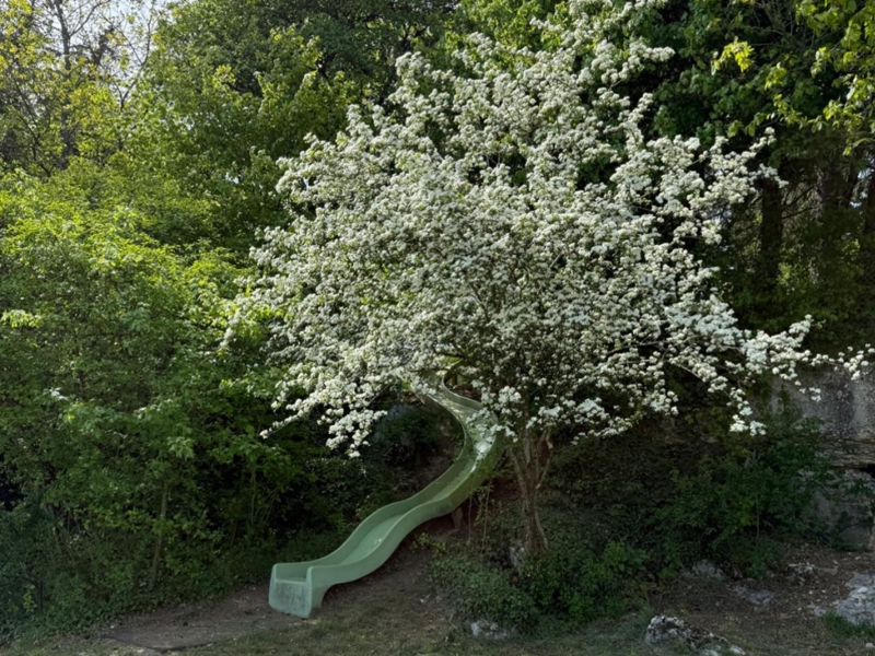 Ferienheim Prägelz Spielplatz
