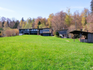 Pfadiheim Hentschenried Spiez Umschwung