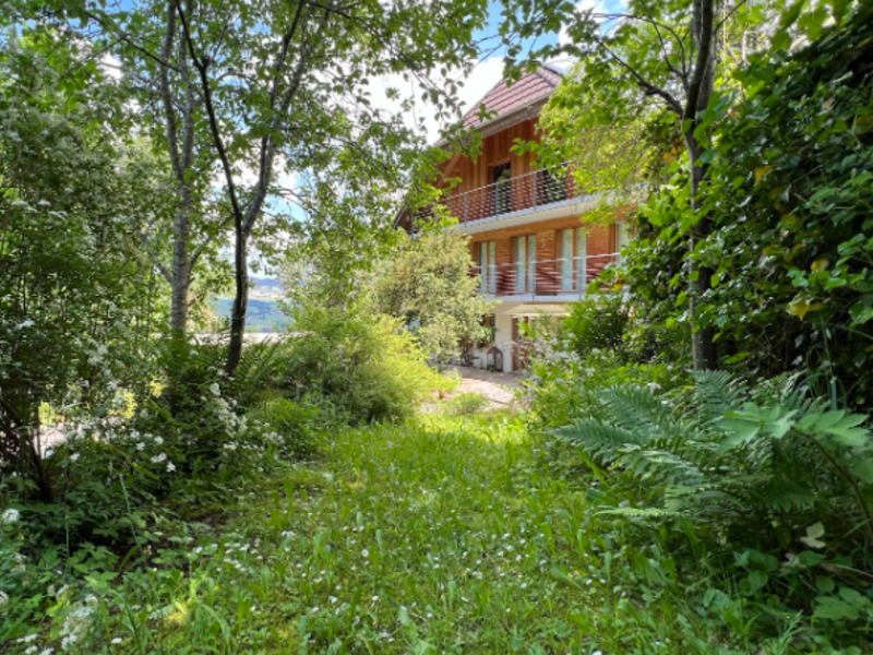 Guest house Das Haus House view summer