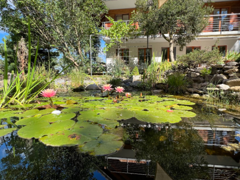 Guest house Das Haus Garden