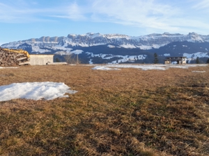 Pension Brach Garten