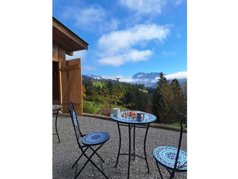 Pension Brach Terrasse