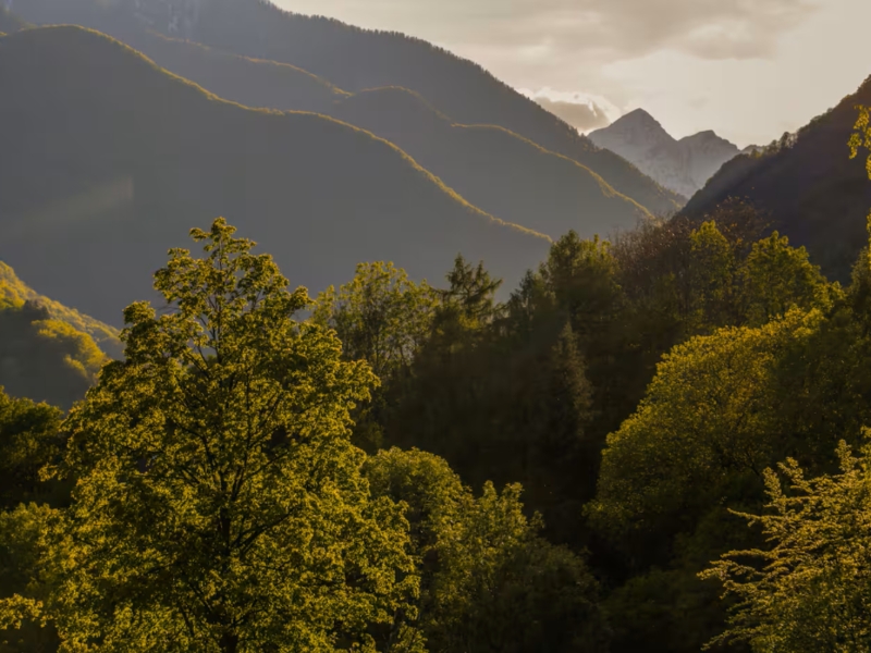 Ferienhaus Wild Valley Architettura Lage