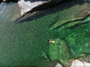 swim