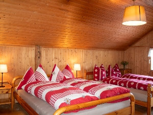 Mountain hut Balisalp Rain Family room