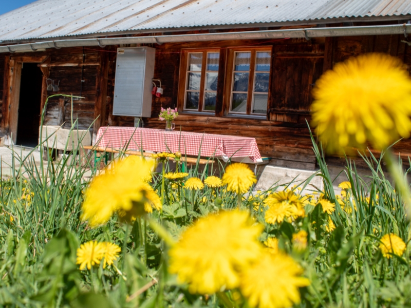 Alphütte Balisalp Rain Terrasse