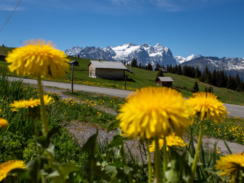 Alphütte Balisalp Rain Aussicht
