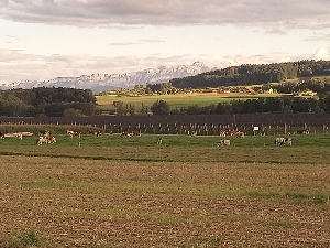 Seminar and guest house Weitsicht View