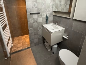 Holiday homes Camischolas Bathroom