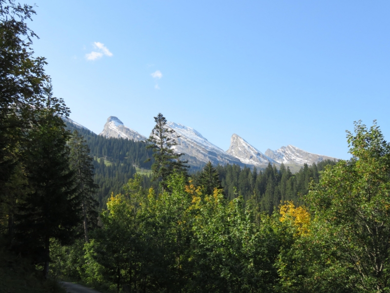 Ferienwohnung Feldtisch Aussicht