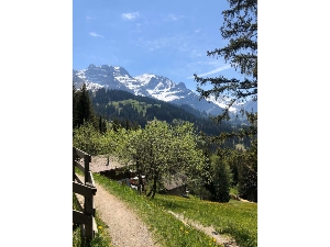 Chalet Hoechst Location