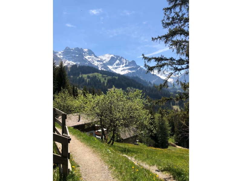 Chalet Hoechst Lage