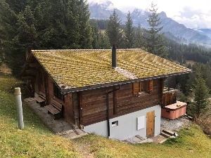 Chalet Hoechst House view summer