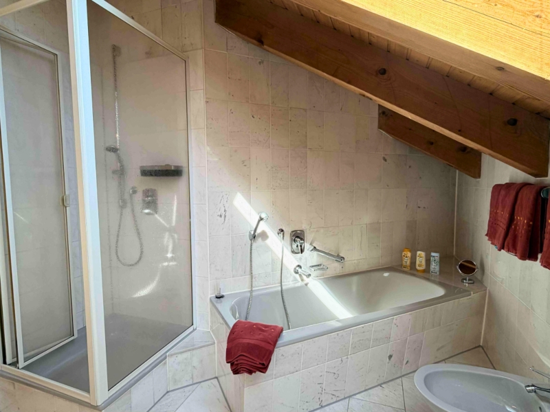 Ferienhaus Schröder Badezimmer