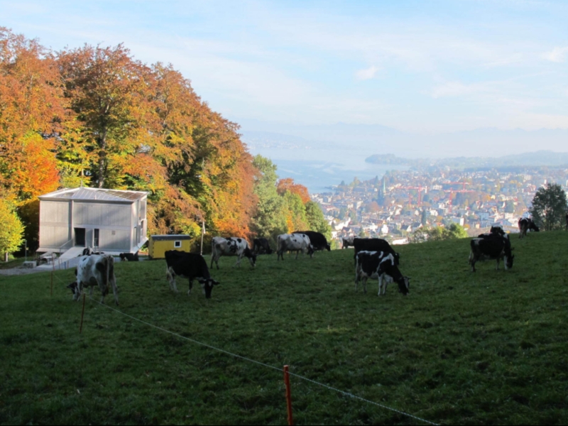 Pfadiheim Horgen Lage