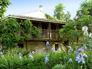 L'arbre : la maison vue de l'extérieur
