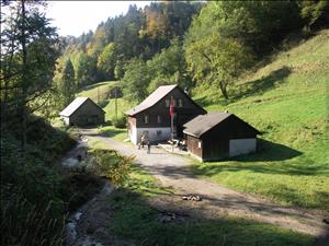 Gruppenhaus Haus Storchenegg Lage Sommer