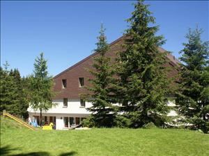 Ferienhaus Kiwi Lodge Hausansicht Sommer