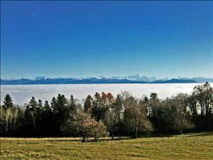 Gruppenhaus Monteret 1 Aussicht Herbst