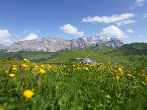 Mountain hotel Hahnenmoos summer